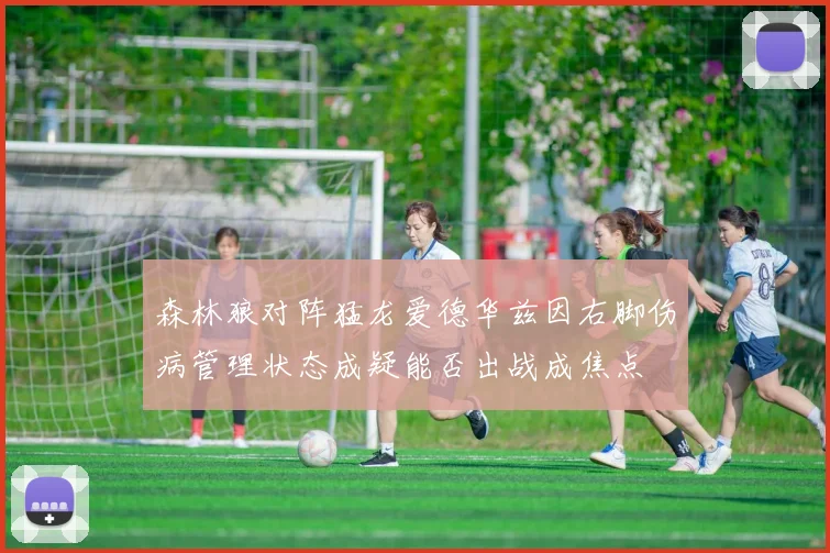 森林狼对阵猛龙爱德华兹因右脚伤病管理状态成疑能否出战成焦点