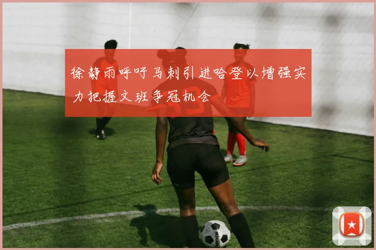 徐静雨呼吁马刺引进哈登以增强实力把握文班争冠机会