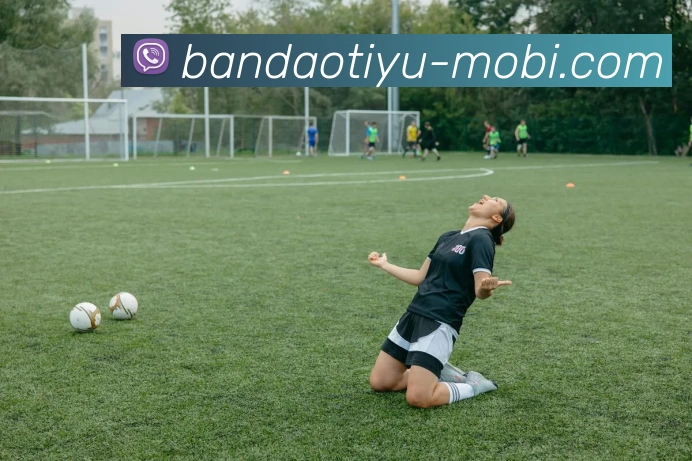 App Interface Preview