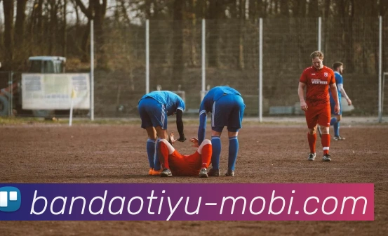 半岛体育APP 封面图